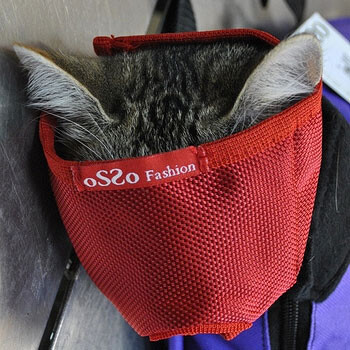 OSSO FASHION размер М намордник для кошек от 4 до 6 кг