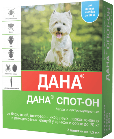 APICENNA ДАНА СПОТ-ОН 4 пипетки по 1,5 мл капли для собак более 20 кг на холку
