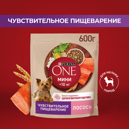 Purina ONE МИНИ 600 г сухой корм для собак для мелких пород при чувствительном пищеварении, с лососем и рисом