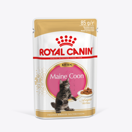 ROYAL CANIN KITTEN MAINE COON 85 г пауч влажный рацион для котят породы мейн-кун в возрасте от 3 до 15 месяцев