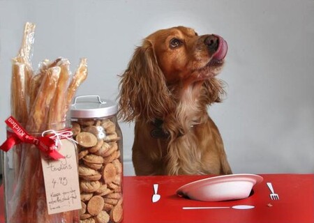 Лакомства для собак: косточки или бисквиты