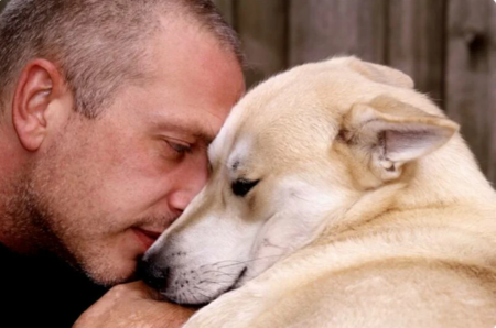 Как собака выражает любовь к своему хозяину?
