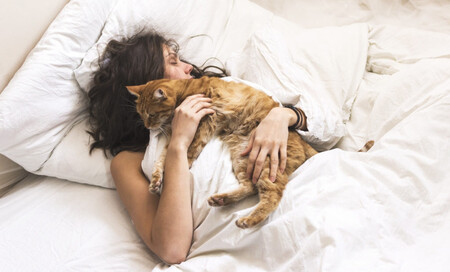 Почему кошка использует хозяина в качестве кровати?