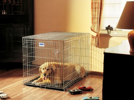 Клетка для собаки в квартире. Зачем нужна и как выбрать?