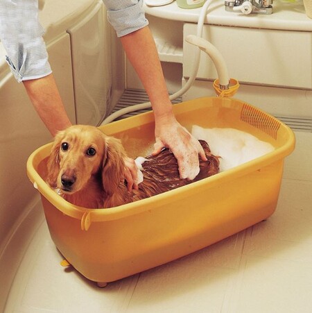 Как помыть собаку без ванны