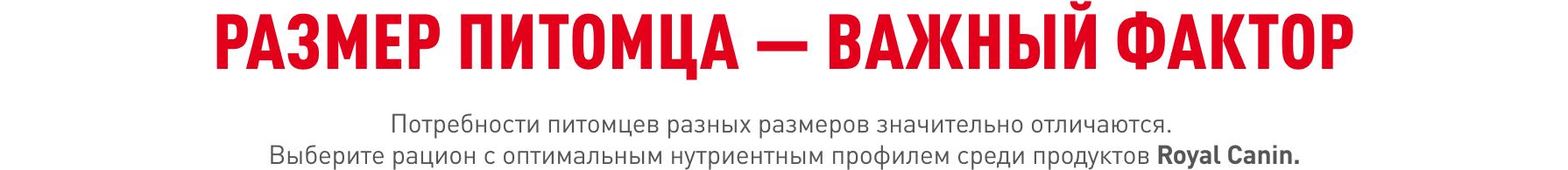 main-screen