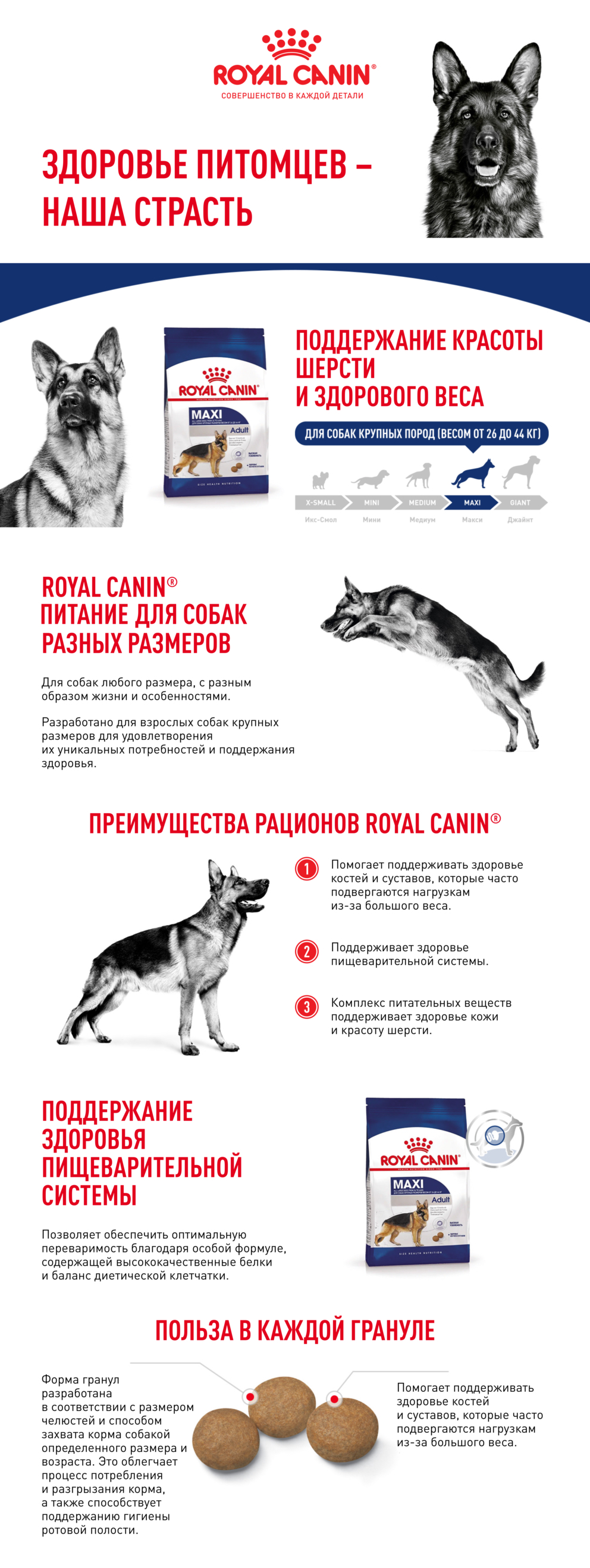 ROYAL CANIN MAXI ADULT 15 кг корм для собак от 15 месяцев до 5 лет