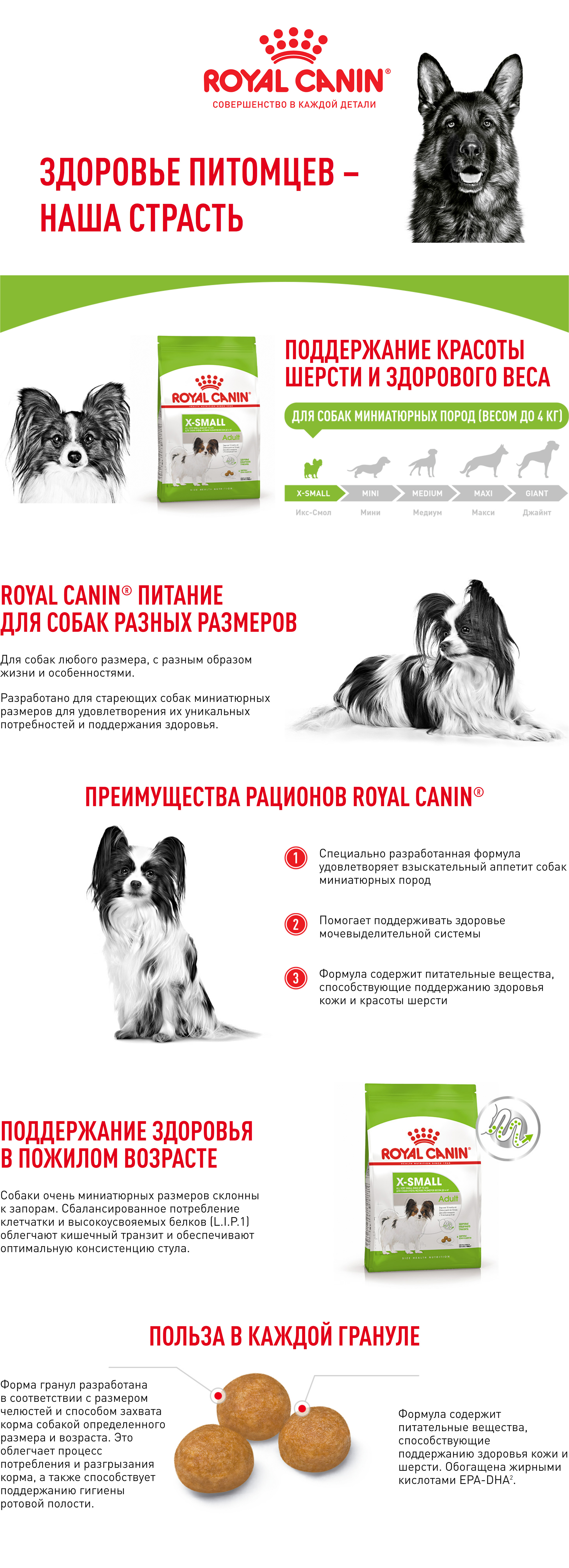 ROYAL CANIN X-SMALL ADULT корм для собак миниатюрных размеров от 10 месяцев до 8 лет