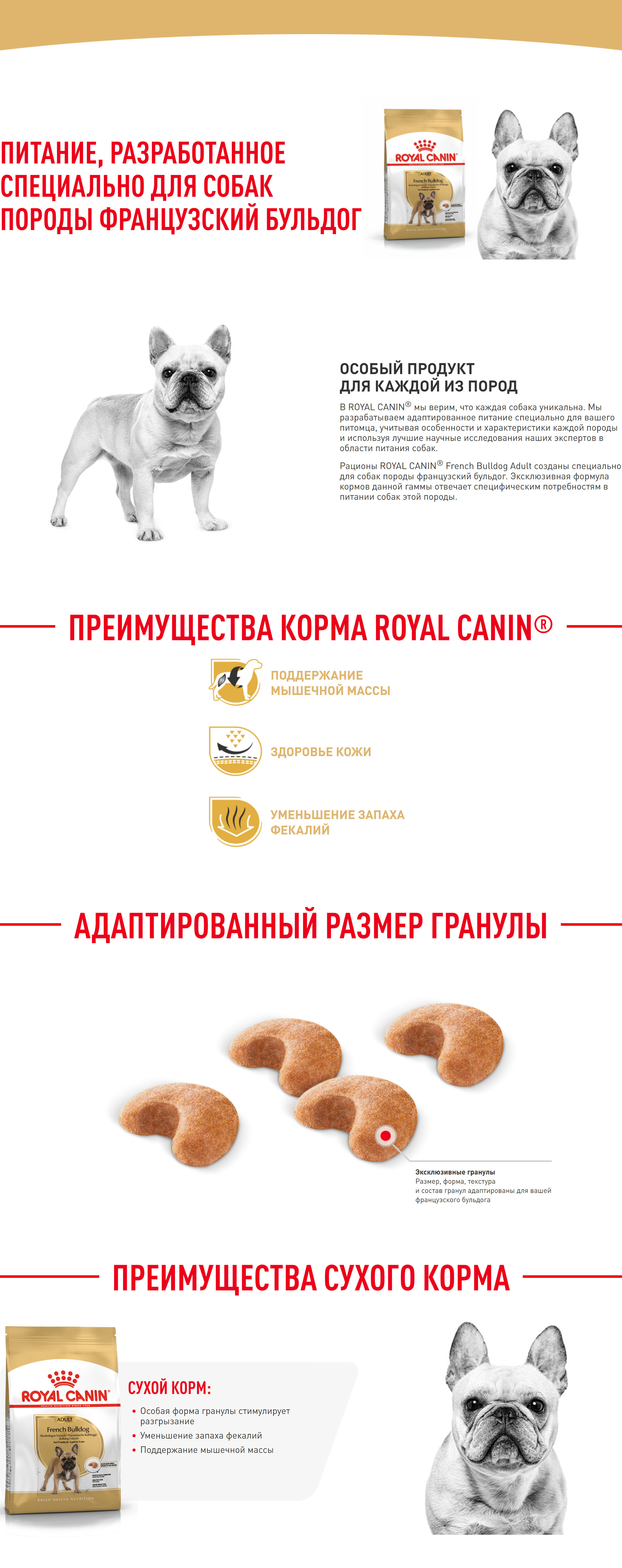 ROYAL CANIN FRENCH BULLDOG ADULT Adult корм для взрослых собак породы Французский бульдог