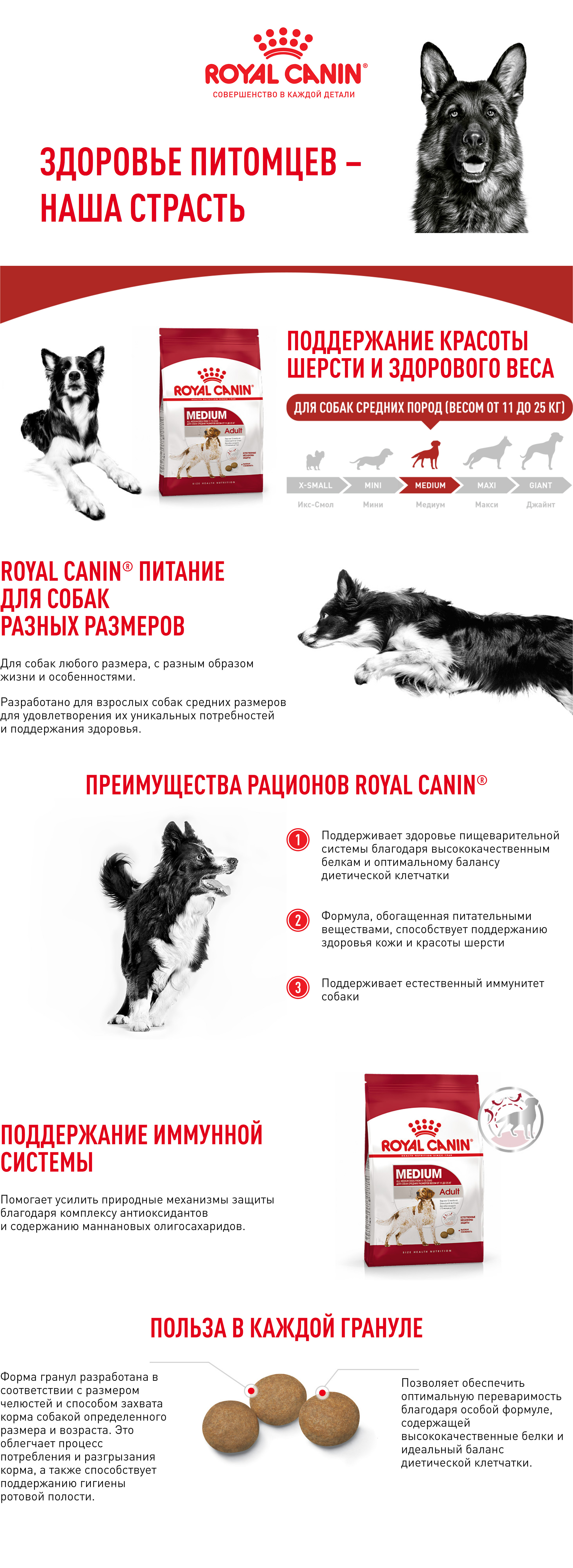 ROYAL CANIN MEDIUM ADULT корм для собак с 12 месяцев до 7 лет