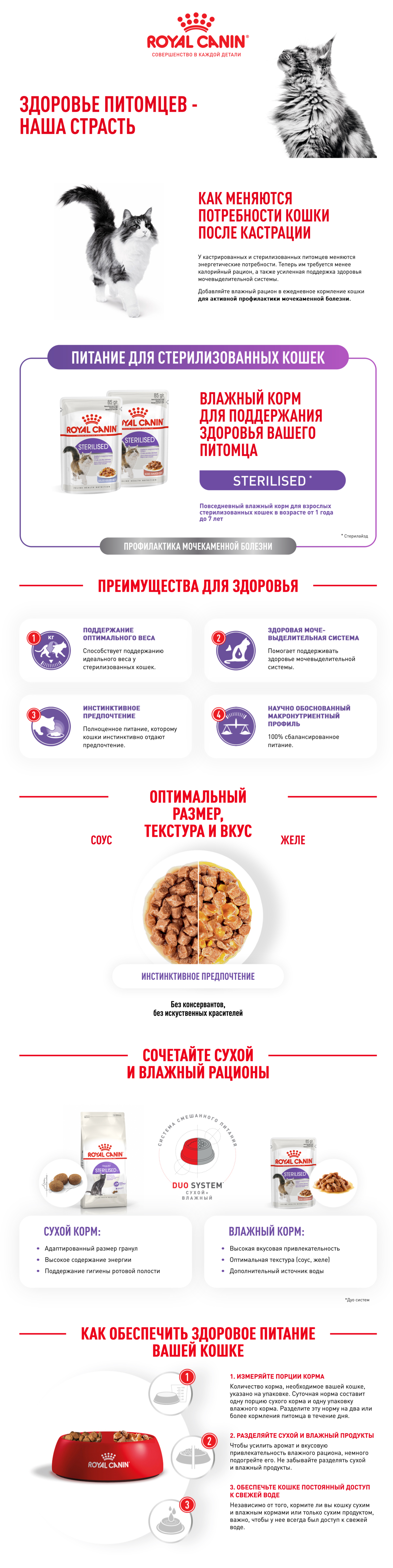 ROYAL CANIN STERILISED 85 г пауч влажный корм мелкие кусочки в желе для стерилизованных кошек 1х28