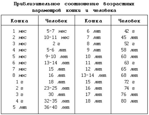 кошачий возраст по человеческим меркам таблица на русском