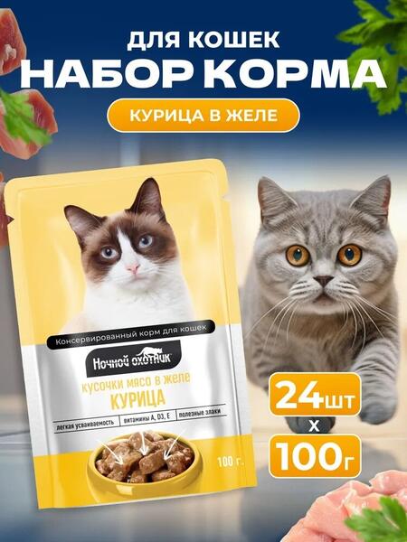 НОЧНОЙ ОХОТНИК 24 шт по 100 г консервы для кошек курица кусочки в желе