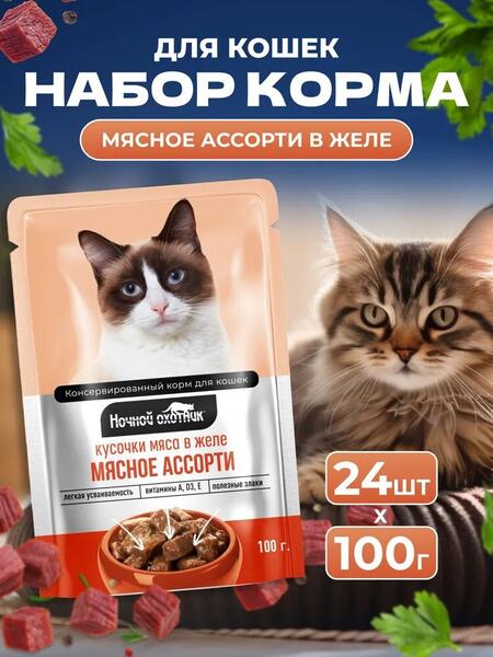 НОЧНОЙ ОХОТНИК 24 шт по 100 г консервы для кошек мясное ассорти кусочки в желе