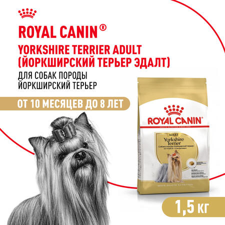 ROYAL CANIN YORKSHIRE TERRIER ADULT 1,5 кг корм для собак породы йоркширский терьер в возрасте от 10 месяцев