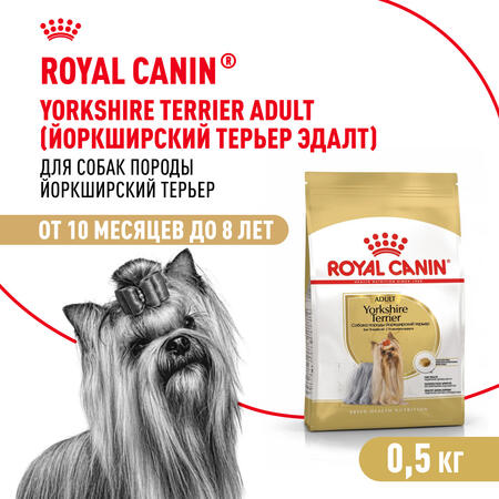 ROYAL CANIN YORKSHIRE TERRIER ADULT 500 г корм для собак породы йоркширский терьер в возрасте от 10 месяцев