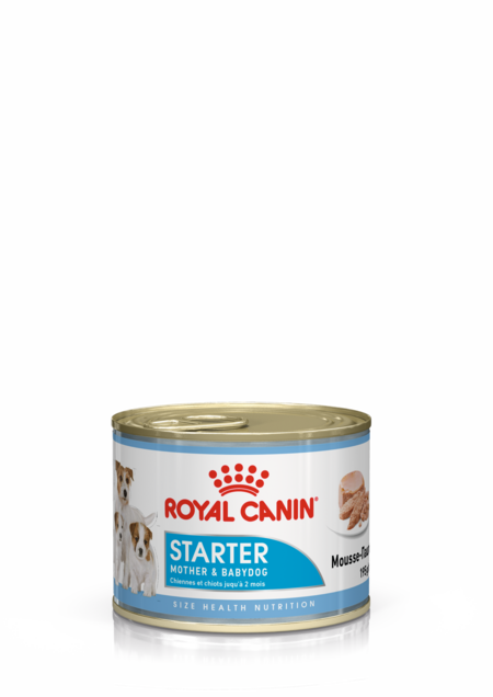 ROYAL CANIN STARTER MOUSSE консервы 195 г для сук и щенков до 2 месяцев