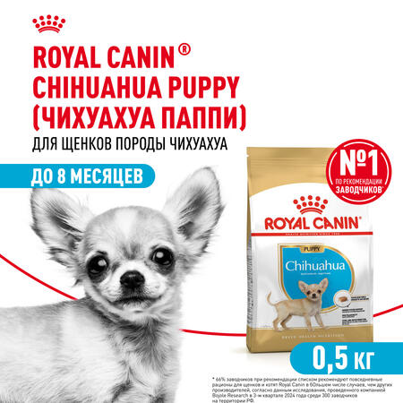 ROYAL CANIN CHIHUAHUA PUPPY 500 г корм для щенков породы чихуахуа до 8 месяцев