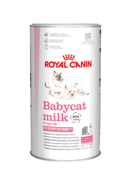 ROYAL CANIN BABYCAT MILK 300 г молоко для котят с рождения до отъема до 2-х месяцев