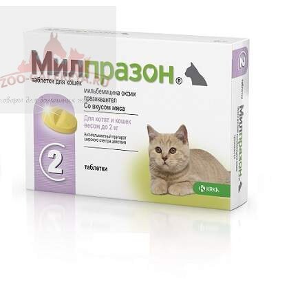 Милпразон антигельминтик для котят и молодых кошек таблетки 2x4 мг / 10 мг:  купить в Москве по цене 468 руб. с быстрой доставкой