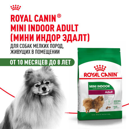 ROYAL CANIN MINI INDOOR ADULT 500 г корм для взрослых собак до 10 кг в возрасте от 10 месяцев