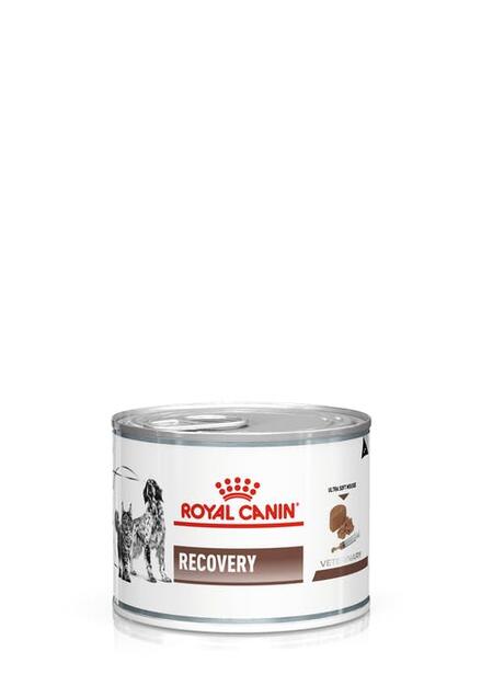 ROYAL CANIN VD RECOVERY 195 г консервы ветеринарная диета для собак и кошек в период анорексии, выздоровления