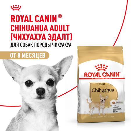ROYAL CANIN CHIHUAHUA ADULT корм для собак породы Чихуахуа старше 8 месяцев