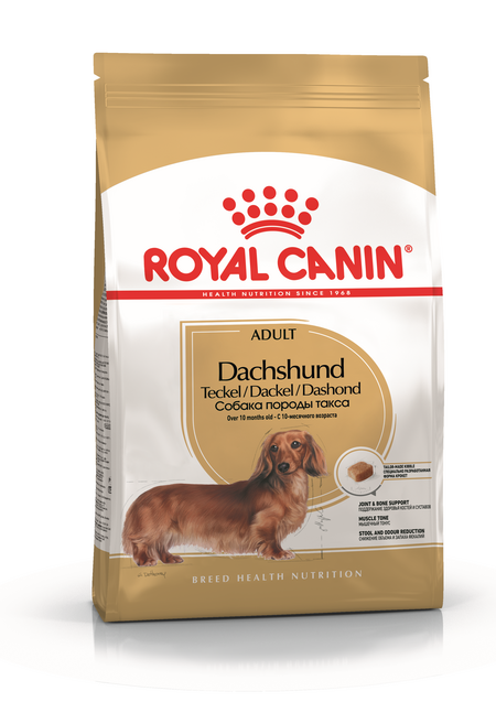 ROYAL CANIN DACHSHUND ADULT корм для собак породы такса старше 10 месяцев