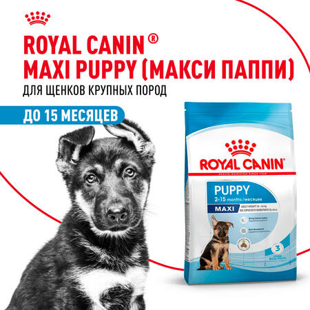 ROYAL CANIN MAXI PUPPY корм для щенков с 2 до 15 месяцев