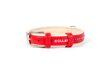 Ошейник "CoLLaR brilliance" со стразами маленькими (ширина 20мм, длина 30-39см) красный
