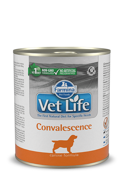 FARMINA VET LIFE NATURAL DIET DOG CONVALESCENCE 300 г консервы паштет диета для собак в период восстановления
