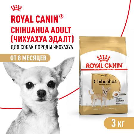 ROYAL CANIN CHIHUAHUA ADULT 3 кг корм для собак породы Чихуахуа старше 8 месяцев