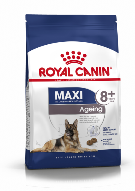 ROYAL CANIN MAXI AGEING 8+ корм для собак старше 8 лет от 26 до 44 кг