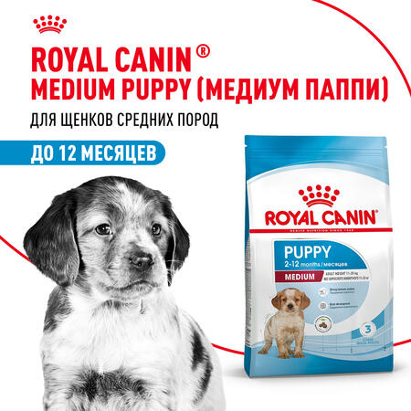 ROYAL CANIN MEDIUM PUPPY корм для щенков с 2 до 12 месяцев