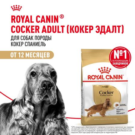 ROYAL CANIN COCKER ADULT 3 кг корм для собак породы Кокер-спаниель от 12 месяцев
