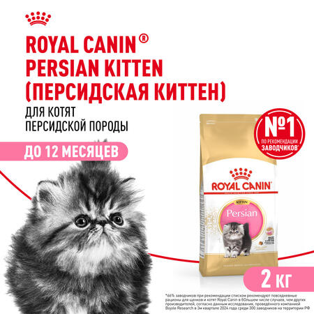 ROYAL CANIN PERSIAN KITTEN 2 кг корм для персидских котят в возрасте до 12 месяцев