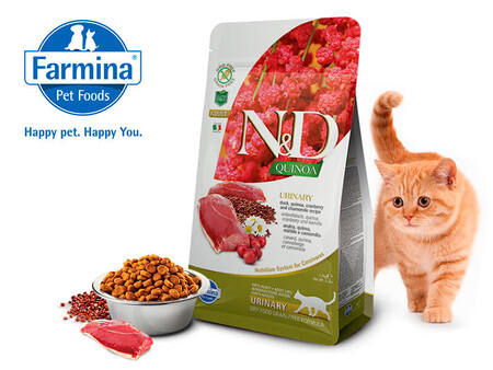 FARMINA N&D Quinoa Adult Urinary корм беззерновой для кошек, профилактика мочекаменной болезни утка с киноа