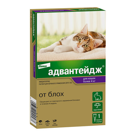 ELANCO Адвантейдж 1 пипетка капли от блох для кошек весом более 4 кг