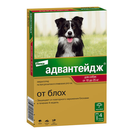 ELANCO Адвантейдж 4 пипетки капли от блох для собак весом от 10 до 25 кг