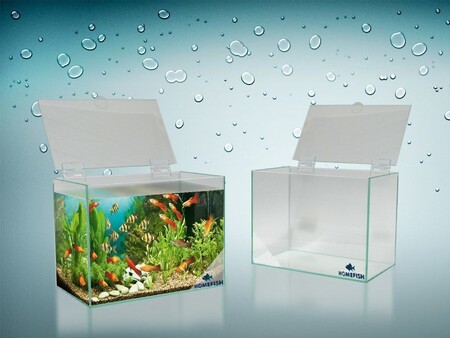 HOMEFISH 310х200х250-4 см мини-аквариум П-15 без крышки с зелёным бережком 80х100мм