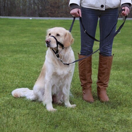 TRIXIE L 31 см намордник для собак тренировочный + 50 см -57 см шейный ремень