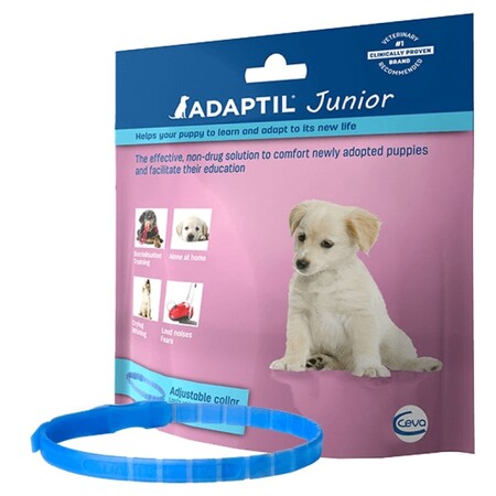 ADAPTIL Junior 37,5 см ошейник для щенков коррекция поведения
