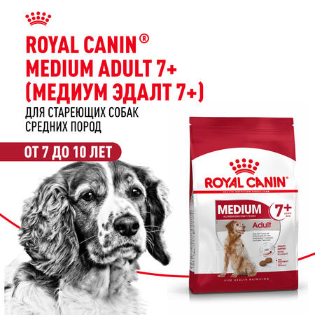 ROYAL CANIN MEDIUM ADULT 7+ 2 шт по 4 кг корм для собак от 7 до 10 лет