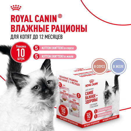 ROYAL CANIN KITTEN 5 х 85 г кусочки в соусе + KITTEN 5 х 85 г кусочки в желе пауч мультипак влажный корм для котят в возрасте до 12 месяцев