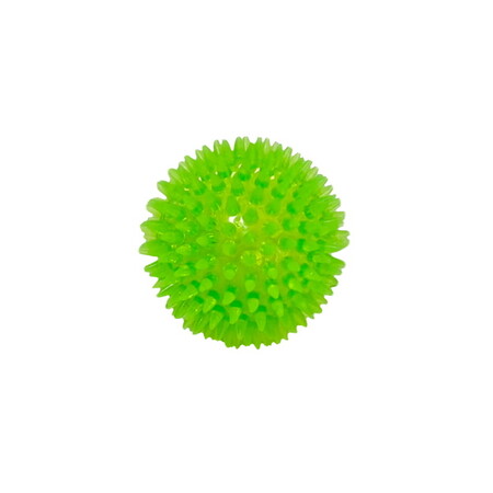 HOMEPET TPR 6,5 см игрушка для собак мячик с шипами с пищалкой зеленый