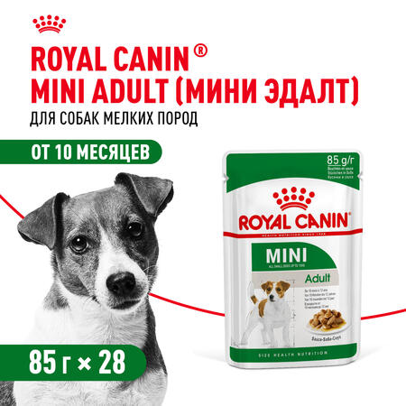 ROYAL CANIN MINI ADULT 85 г пауч влажный корм для взрослых собак мелких размеров от 10 месяцев кусочки в соусе