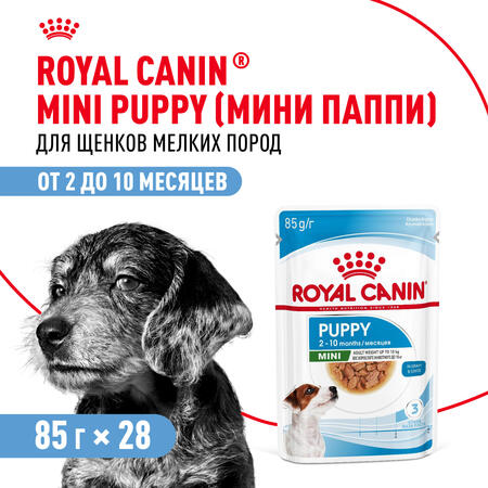 ROYAL CANIN MINI PUPPY 85 г пауч влажный корм для щенков мелких пород в возрасте до 10 месяцев кусочки в соусе