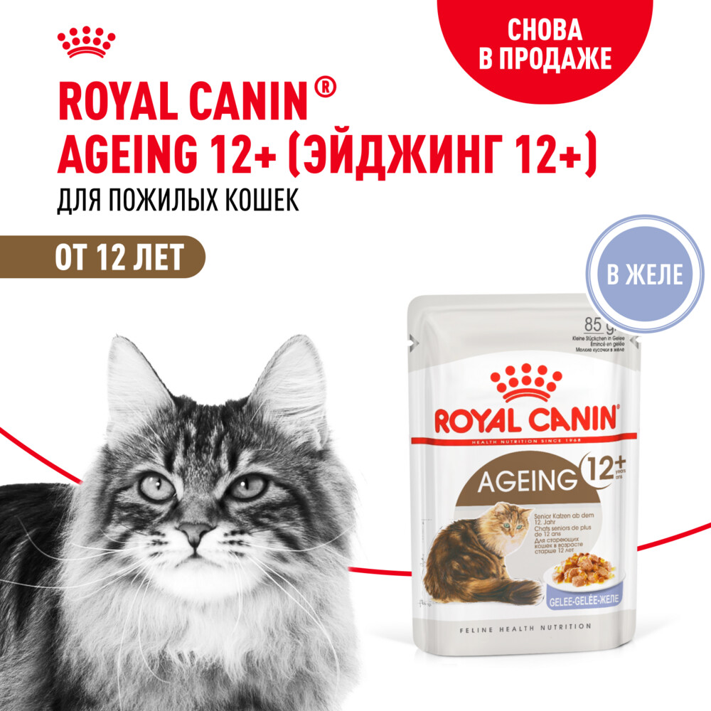 ROYAL CANIN AGEING 12+ 85 г пауч влажный корм мелкие кусочки в желе для стареющих кошек старше 12 лет 1х28