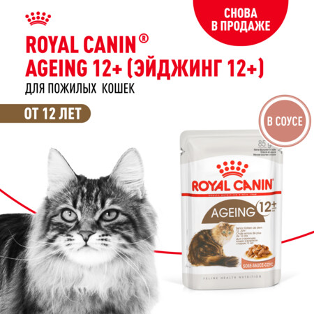 ROYAL CANIN AGEING 12+ 85 г пауч влажный корм мелкие кусочки в cоусе для стареющих кошек старше 12 лет 1х28