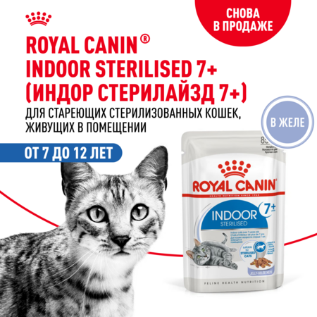 ROYAL CANIN INDOOR STERILISED 7+ 85 г пауч влажный корм мелкие кусочки в желе для кошек живущих в помещении в возрасте от 7 до 12 лет 1х28